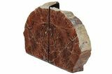Tall, Arizona Petrified Wood Bookends - Brick Red #222158-1